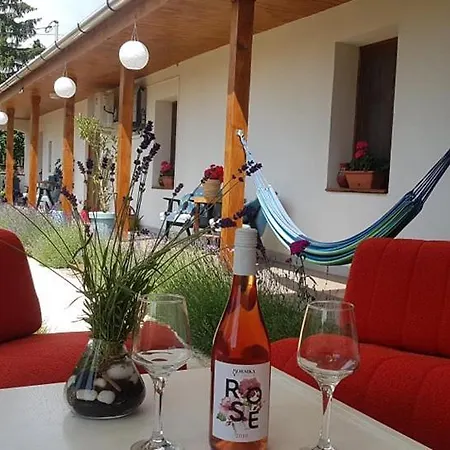 Guest house Borsika Napterasz Pihenohaz
