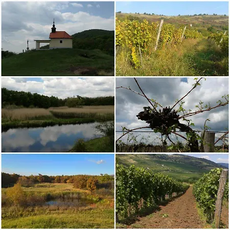Vendégház Borsika Napterasz